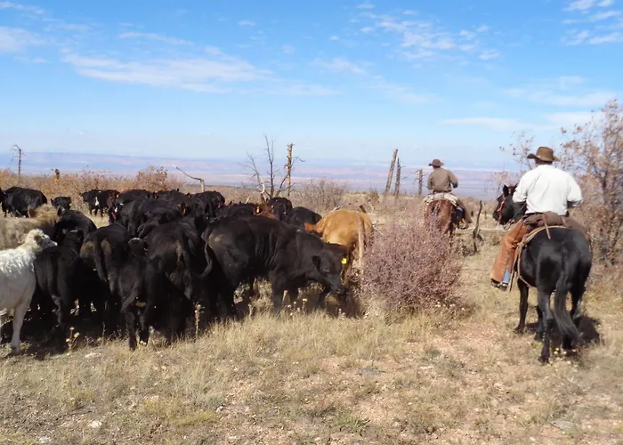 Grand Canyon Ranch & Outfitters