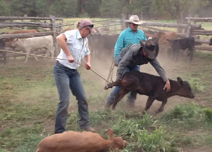 Grand Canyon Ranch & Outfitters Fredonia